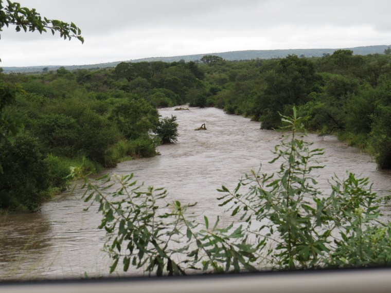 Normally a little pond - with water raging down river