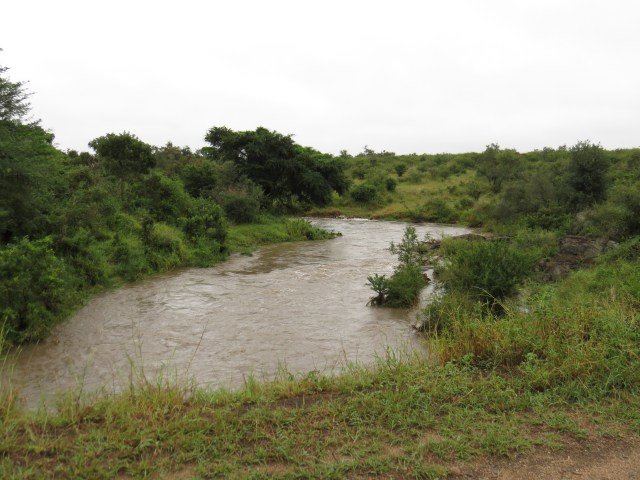 Normally a serene pond with a little water sometimes