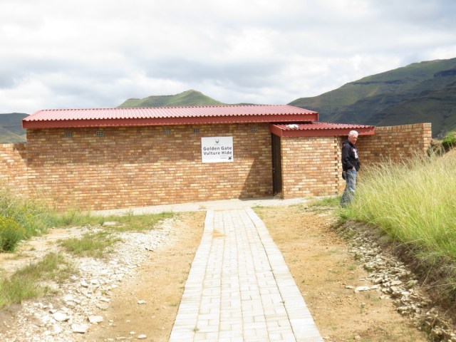 Golden Gate Vulture Hide