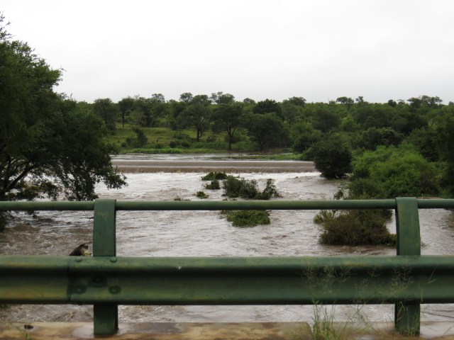Dam at Crocodile Bridge - overflowing wildly.