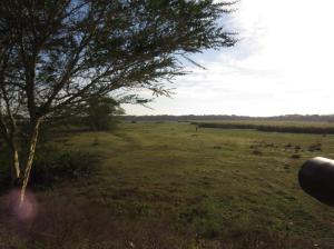 The water is in the distance