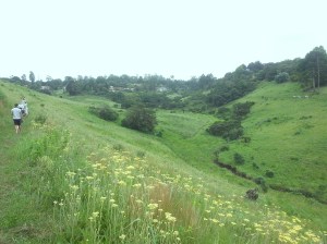 Springside 5th Jan 2013 showing all 3 groups, Paul Bartho