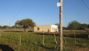 Birding a stranger's back garden