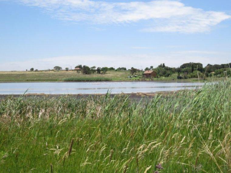 Glen Austin Bird Sanctuary